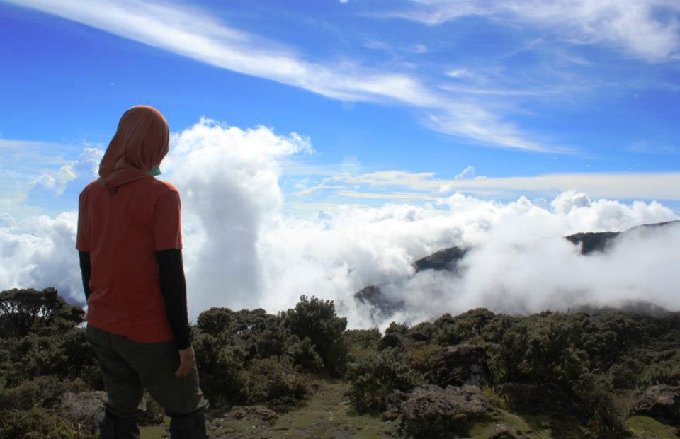 Indonesian Mountains  Share your passion on exploring the 